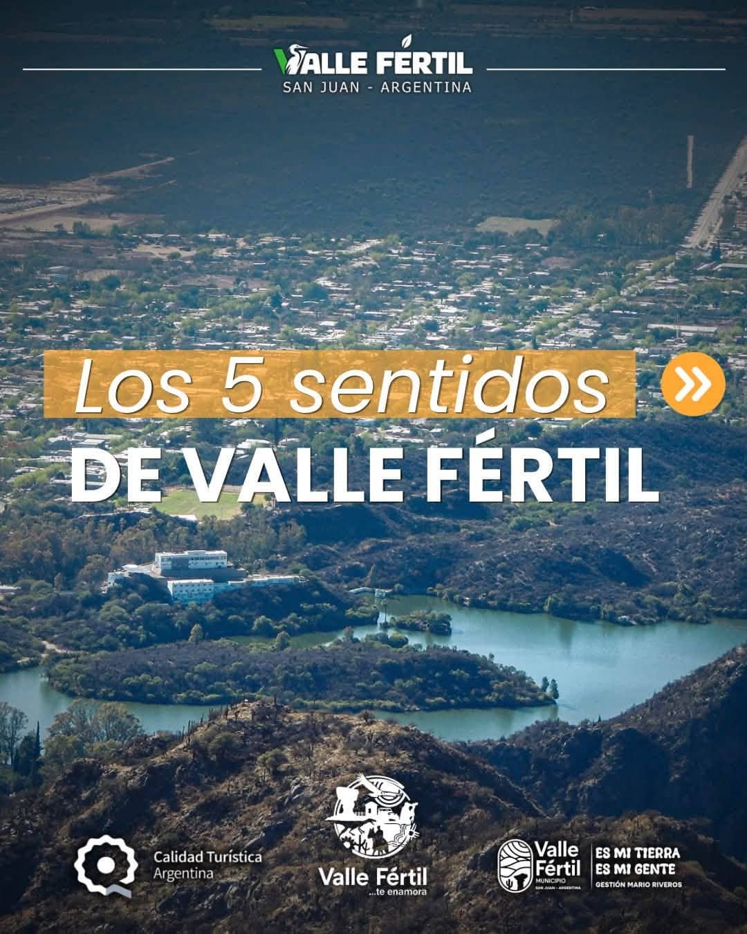 Taller